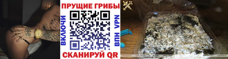 hydra сайт  Лесосибирск  Галлюциногенные грибы Magic Shrooms 